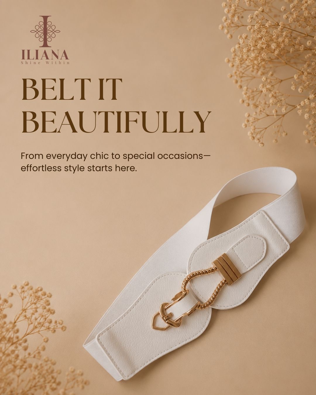 Fancy WaistBelt